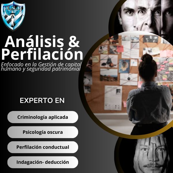 Análisis & Perfilación