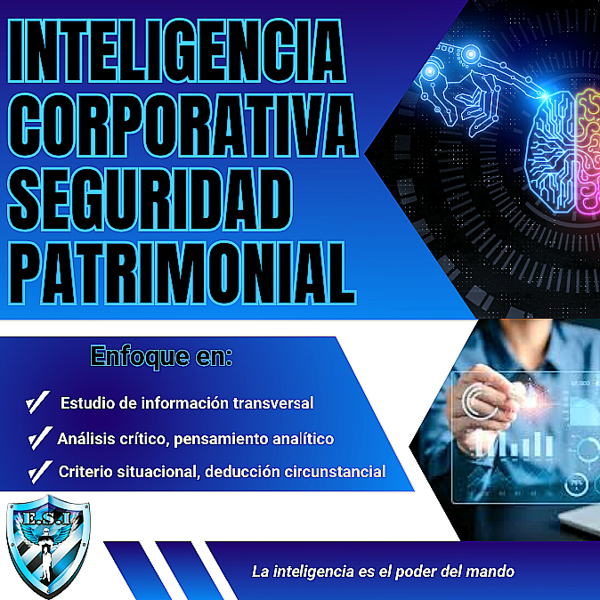 Inteligencia Corporativa (Seguridad Patrimonial)